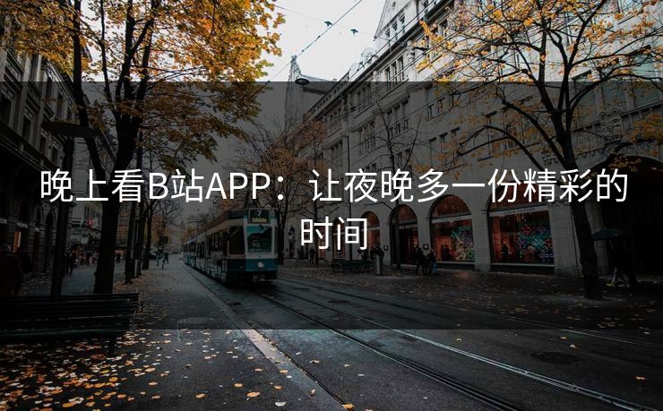 晚上看B站APP：让夜晚多一份精彩的时间