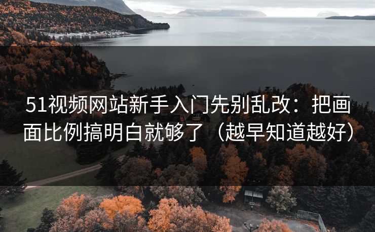 51视频网站新手入门先别乱改：把画面比例搞明白就够了（越早知道越好）