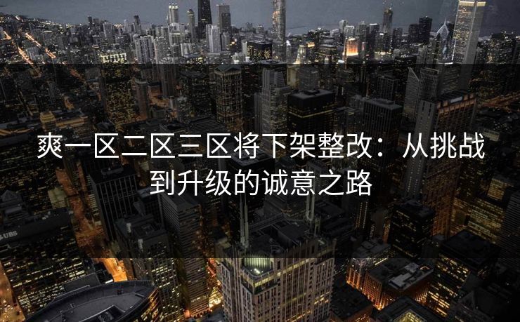 爽一区二区三区将下架整改：从挑战到升级的诚意之路