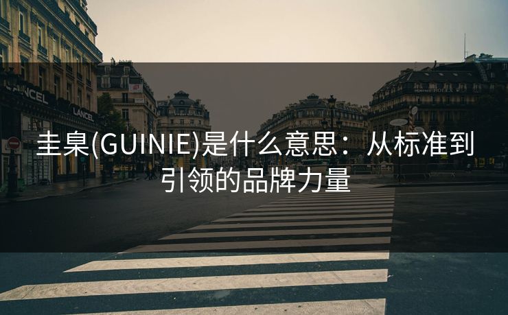 圭臬(GUINIE)是什么意思：从标准到引领的品牌力量