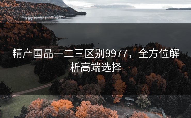 精产国品一二三区别9977，全方位解析高端选择
