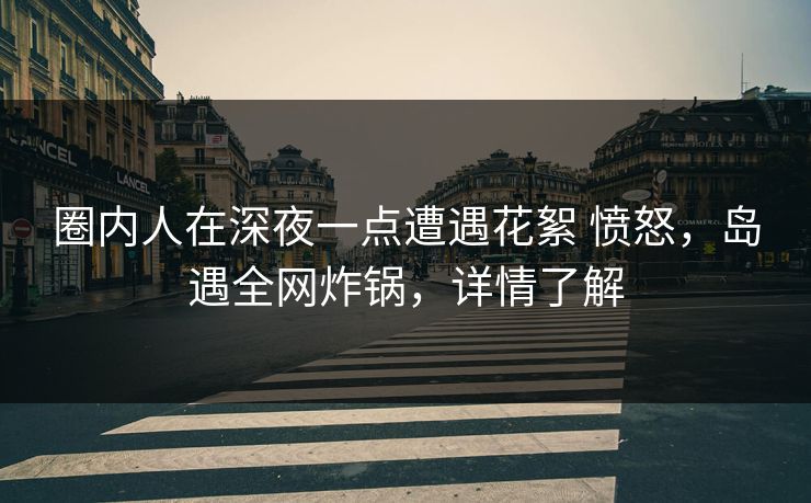 圈内人在深夜一点遭遇花絮 愤怒，岛遇全网炸锅，详情了解