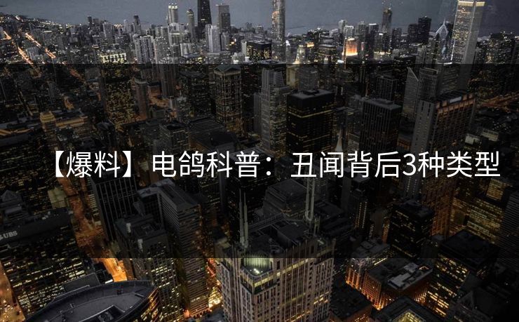 【爆料】电鸽科普:丑闻背后3种类型 【爆料】电鸽科普:丑闻背后3种类型